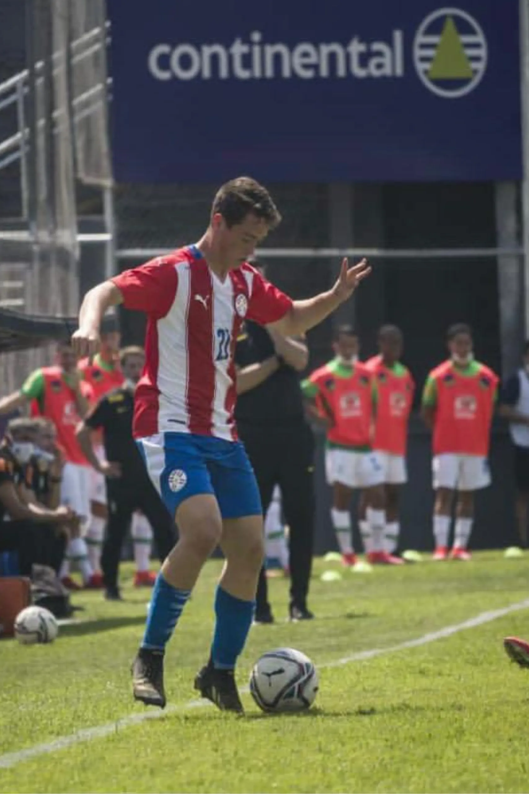 6_Mateo